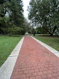 walkingpath
