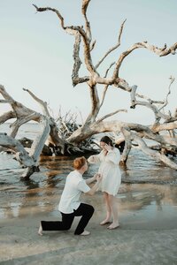 TaylorLevi-(16 of 147)
