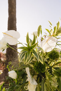 Emma Lauren Photos Southern California Wedding Photographer-89