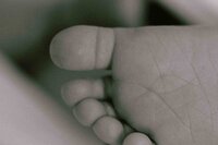 fresh baby toes