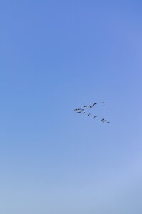 1. Details_SunnyLeePhoto-51