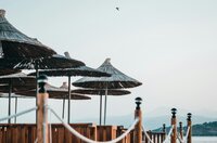 tanya-pro-xJB4x_4m_00-unsplash