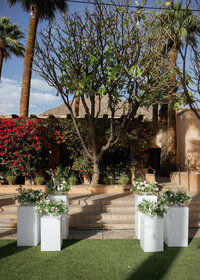 Royal Palms-28