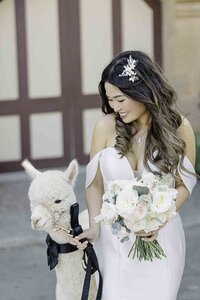 Charles-Krug-Wedding-Reception-5