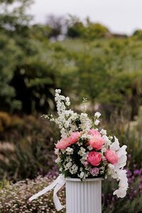 adelaide-wedding-photographer-golding-wines-gallery-44