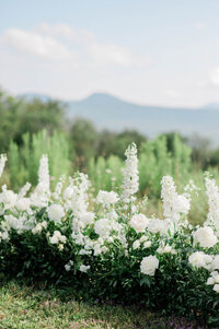 Several white florals on a Hudson Valley hillside