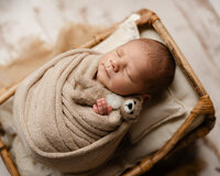 Peacefully sleeping newborn baby wrapped in a neutral beige swaddle while holding a small teddy bear prop inside a woven basket during a cozy newborn photography session captured by Kaitlyn Dawn Photography.