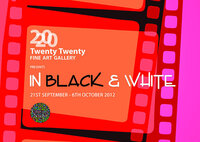 2020 art gallery cork ireland culture night 2012