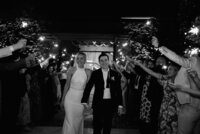 adelaide-wedding-photographer-golding-wines-gallery-104