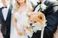 BVP2098308.24.24Ivona+Mike