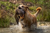 _DSC5722