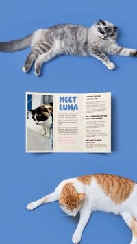 pawsitive space 3