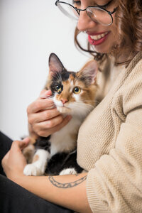 sacramento-cat-portrait-07