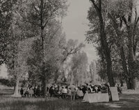 219A0619