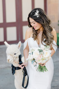 charles-krug-winery-wedding-12