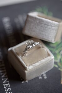 Crane Estate Wedding. Deborah Zoe Photography. Boston Wedding Photographer.
