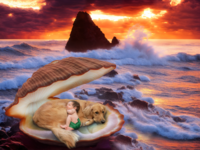4Karma Studio - A creative fine art newborn portrait of a baby and dog resting in a giant iridescent clam shell at sunset, featuring a custom digital composite and true-to-life colors.