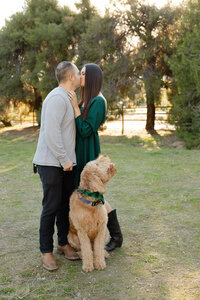 Couple kissing with their goldendoodle dog in a park with warm sunset lighting, family and pet portrait captured by Kaitlyn Dawn Photography.