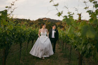 bride and groom walking through vineyards in healdsburg california