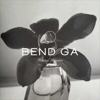 bendiga mockup_7