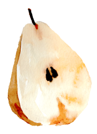 small watercolor pear sliced in half