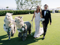 Montecito Club Wedding - Santa Barbara Wedding Photographer-00070