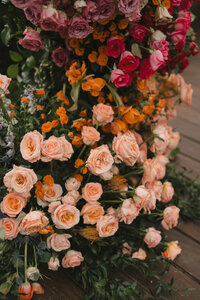 240608AMACHR_adv0123