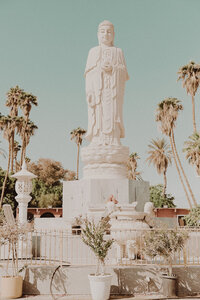 Dear Palm Springs-47