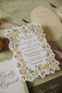 Quad Cities Wedding Venue | Healy Hollow - Taylor Ridge Wedding Venue | Wedding Decor Quad Cities-6