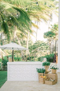 Kristen Weaver Photography Orlando Florida Destination Photographer Worldwide Wedding Editorial Fashion Inspired Clean Film KWP -0896