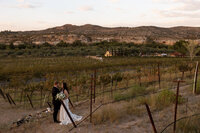 Bride and groom walking hand-in-hand along a vineyard path with mountains in the background
