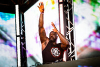 Shaq at Lollapalooza