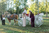 Stacy assisting a bride and groom in a horse carriage