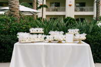 roula and wilder 09152024_erica streelman photographer-1004
