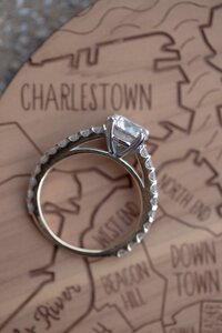 boston-engagement-photos_004