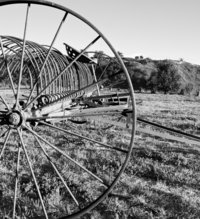 Black and white image of a field and old plow