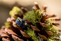 Professional photography by Nature's Child Photography: Graeagle, California wedding capturing a close-up of wedding rings styled inside a pine cone with green moss, photographed during a destination wedding in the Sierra mountains.