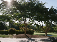 hackensack-golf-club-wedding-nyc-photographer-love-melissa-film-32