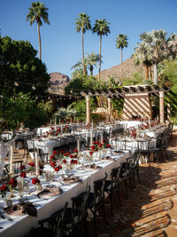 Royal palms 2-83