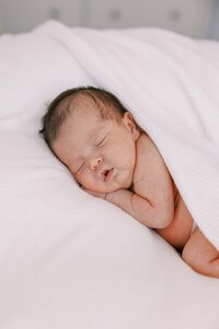 Newborn baby snuggled and sleeping peacefully during a Palo Alto in-home newborn session