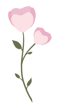 Florida Social Butterfly Pink Flower Icon 