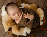 Sleeping newborn baby wrapped in a brown swaddle and posed on a soft fur blanket during a studio session with newborn photographer Kaitlyn Dawn Photography.