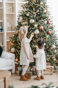 Toronto-Holiday-Mini-Sessions-1-3