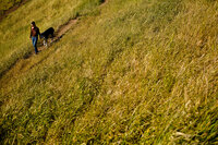pet photographer, dog photoshoot, dog photography, dog photographer, cat photography, pet photography near me, family photo with dog, pet portraits, cat photographer, cat photoshoot, dog photographer near me, pet photographer near me, a dog photoshoot, pet photography, dog pictures, pictures of puppys, cute dog pictures, dog photo, sacramento pet photographer, san francisco pet photographer