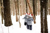 outdoor family photography waterloo