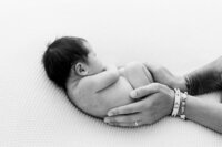 Salem Newborn Photographer