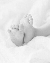 Black and white close-up of tiny newborn baby feet and toes wrapped in soft blankets during an in-home newborn session.