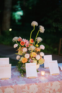 molly-and-chris-wedding-highlights-4