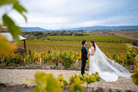 Viansa-Sonoma-Vineyard-Wedding
