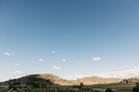 View of the hills and vines at Brindabella Hills Winery